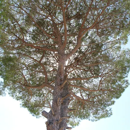 Rita 3* Campi Salentina