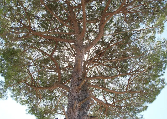 Rita 3* Campi Salentina